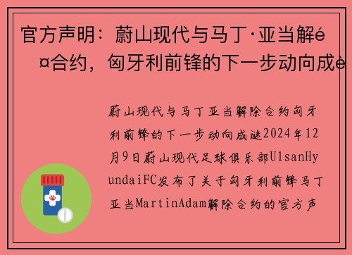 官方声明：蔚山现代与马丁·亚当解除合约，匈牙利前锋的下一步动向成谜