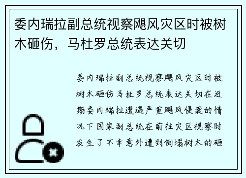 委内瑞拉副总统视察飓风灾区时被树木砸伤，马杜罗总统表达关切